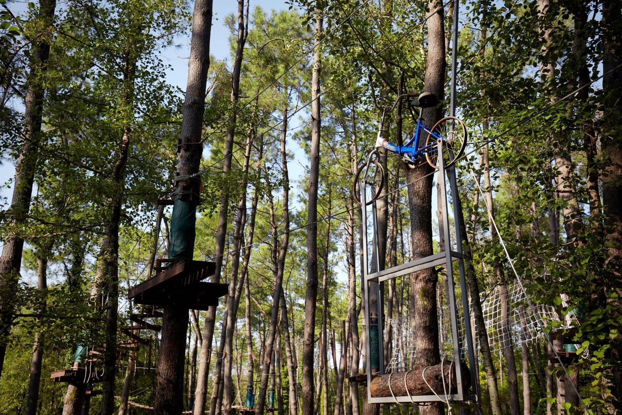 Paragraph Resort & Spa Shekvetili, Autograph Collection Shekhvetili Exterior foto Adventure Park in the forest