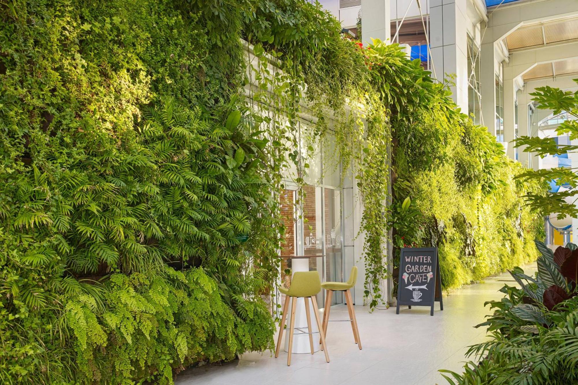 Paragraph Resort & Spa Shekvetili, Autograph Collection Shekhvetili Exterior foto Living wall