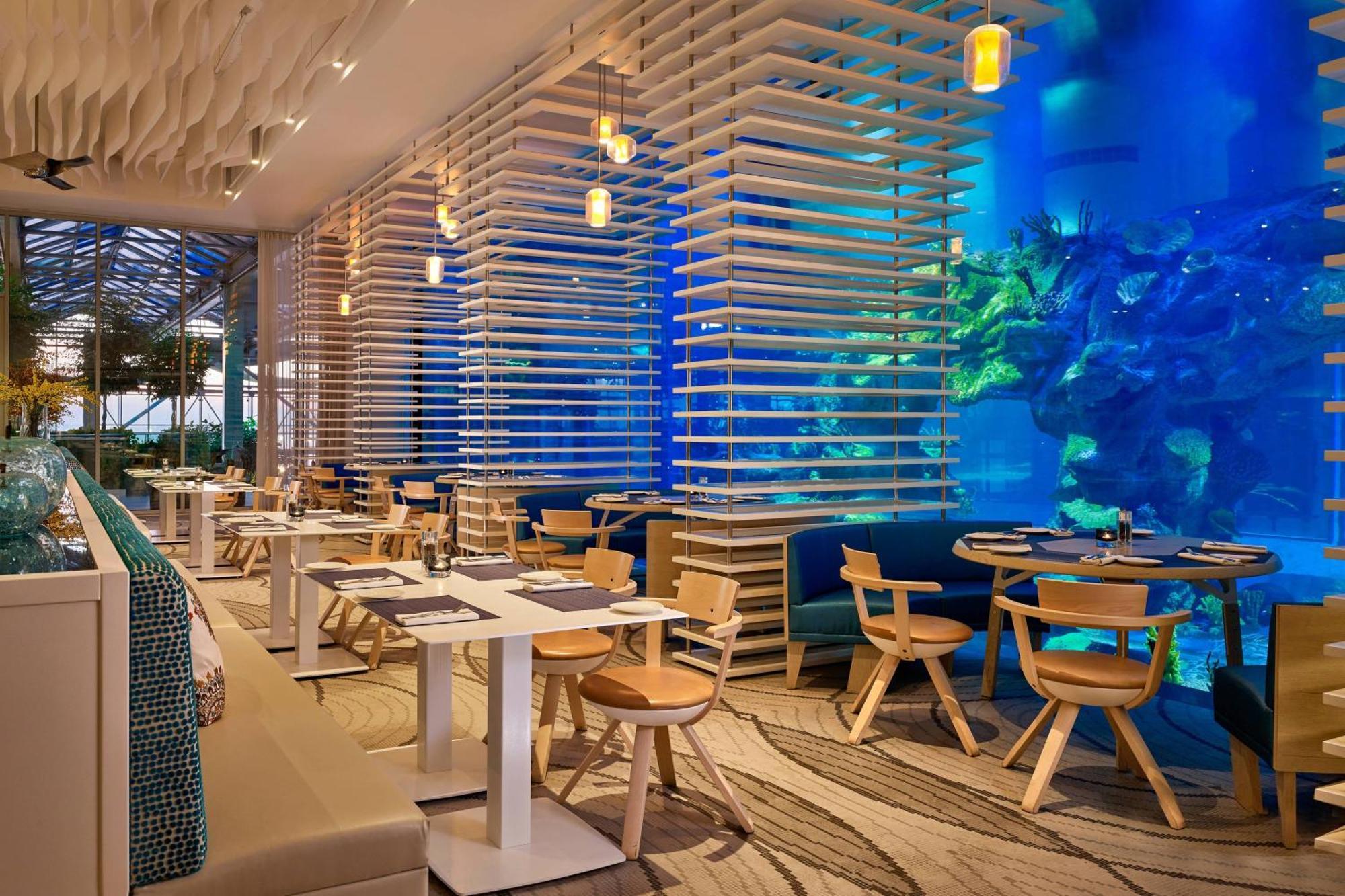 Paragraph Resort & Spa Shekvetili, Autograph Collection Shekhvetili Exterior foto The Lost Chambers Aquarium
